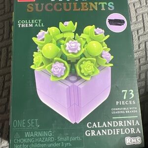 Calandrinia Grandiflora Succulent Puzzle - Purple and Green